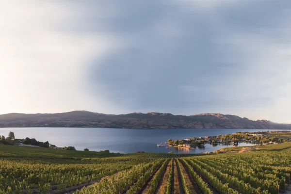 Quails’ Gate Winery