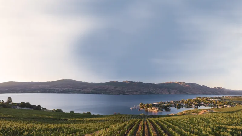 Quails’ Gate Winery