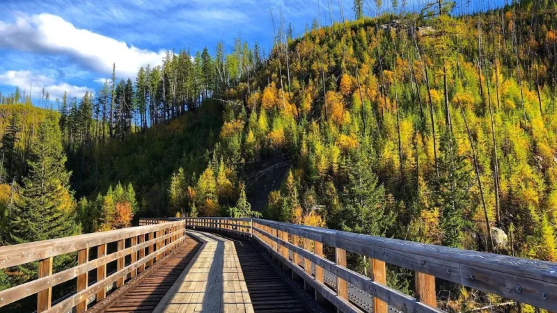 Myra-Bellevue Provincial Park – Day Use Area
