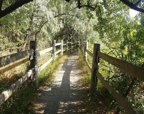 Chichester Wetland Park