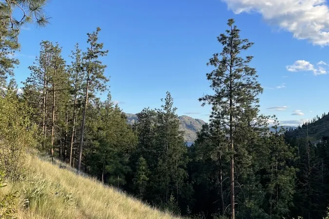 Glen Canyon Regional Park
