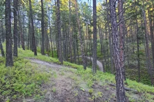 Smith Creek Trail System