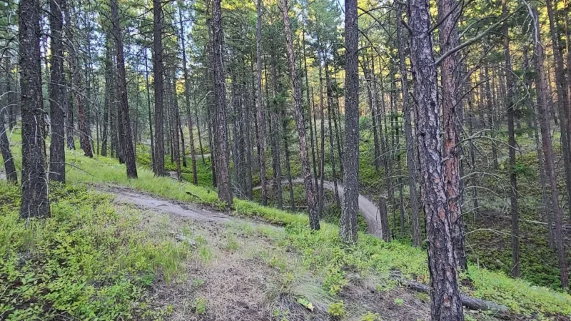 Smith Creek Trail System