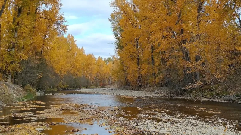 Mission Creek Greenway Regional Park