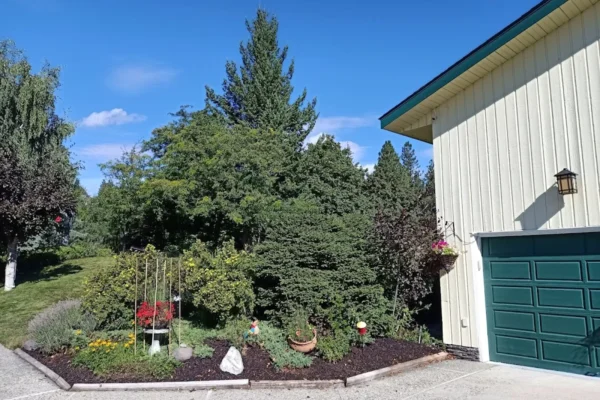 A View of the Lake Bed & Breakfast