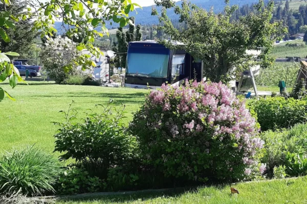 The Orchard RV Retreat