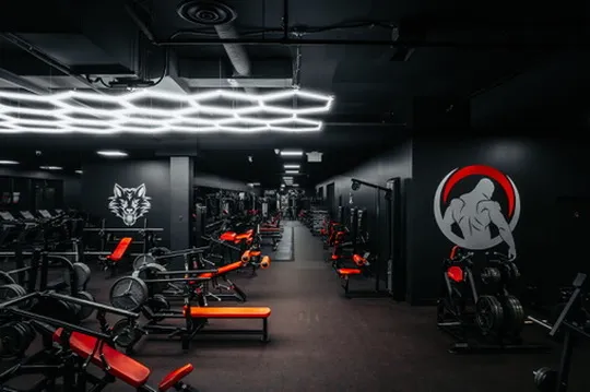 Aesthetic Nation Gym
