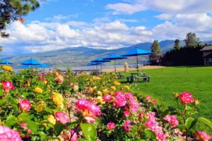 Annie’s Beach Cafe & Lounge