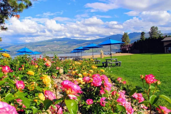 Annie’s Beach Cafe & Lounge