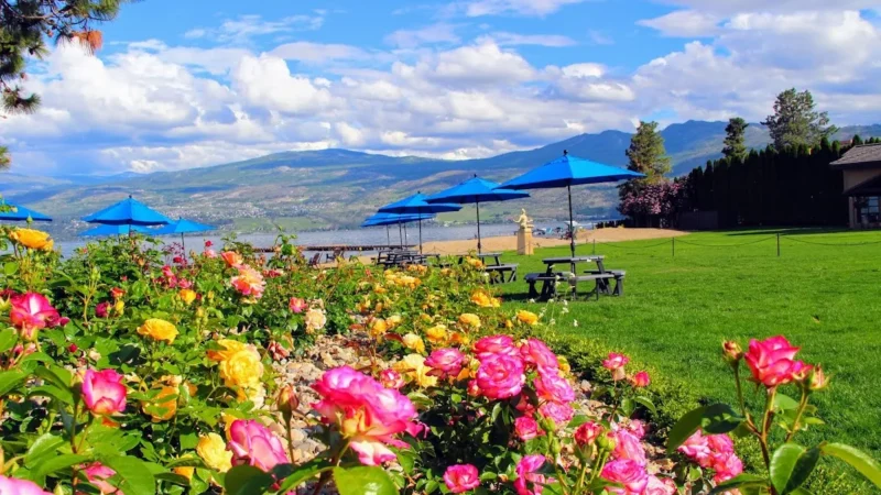 Annie’s Beach Cafe & Lounge