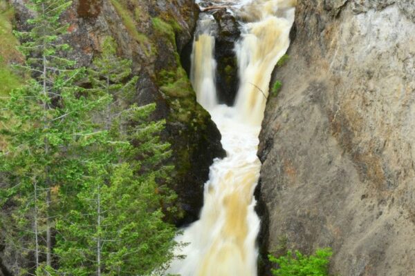 Bear Creek Campground