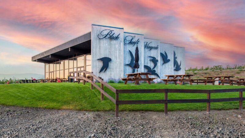 Black Swift Vineyards