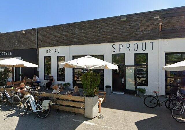 Sprout Bread